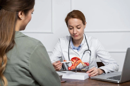 womens pelvic health